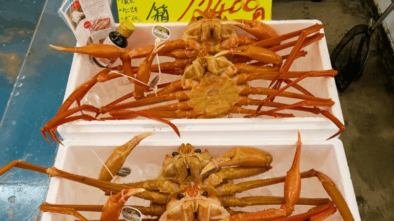 Danh Sách Nhà Hàng Tốt Nhất Kinosaki Onsen – Từ Cua Tuyết Đến Bò Tajima