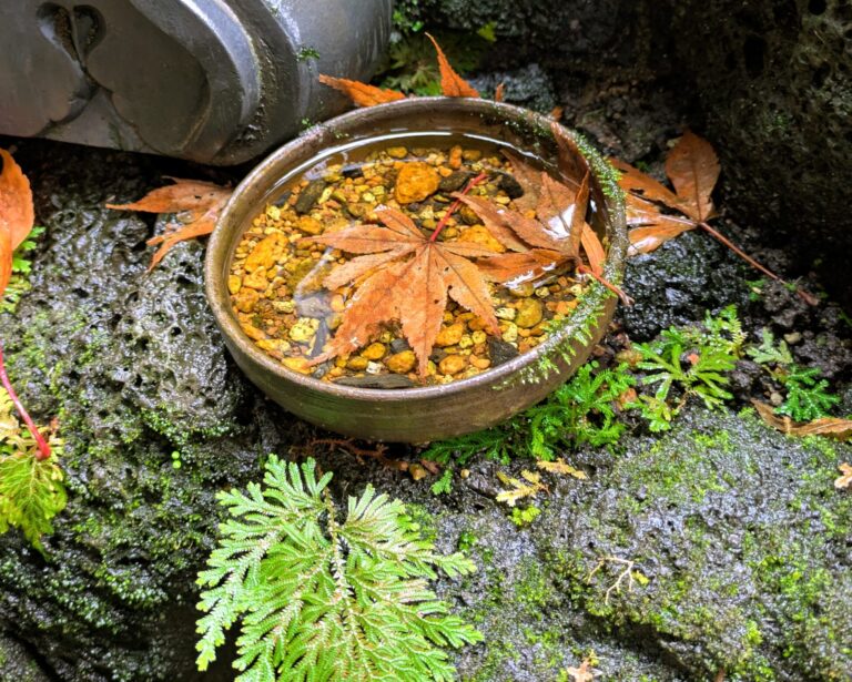 Thời Tiết Nhật Bản 4 Mùa – Nên Chuẩn Bị Quần Áo Gì Khi Du Lịch Nhật?